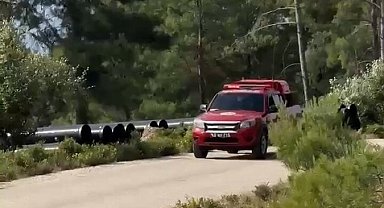 Muğla'da kurumlar yaz aylarında doğayı korumak için teyakkuzda