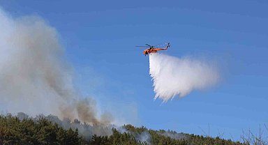Muğla'daki orman yangını kontrol altına alındı