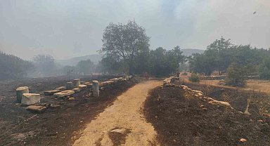 Muğla'daki yangın Stratonikia Antik kentindeki zirai alanda etkili oluyor