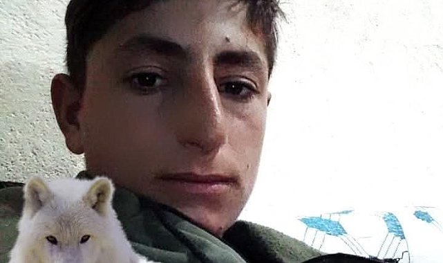Muş'ta iş kazası: 20 yaşındaki genç hayatını kaybetti