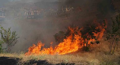 Muş'ta örtü yangını kontrol altına alındı
