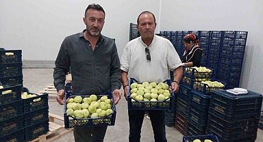 Mut beyaz inciri ihracata gidiyor