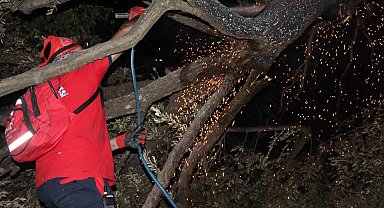 NAFAD bölgedeki yangınlarda aktif görev alıyor