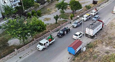 Nazilli Belediyesi'nden haşere ile etkin mücadele