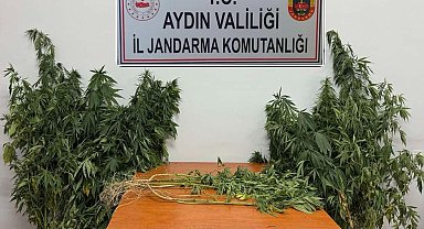 Nazilli'de uyuşturucu operasyonu