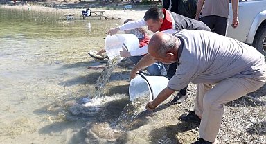 Nevşehir'de 856 Bin yavru sazan balığı sularla buluştu