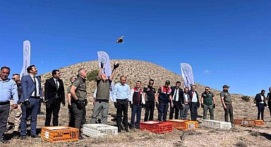 Nevşehir'de kene ile doğal mücadele