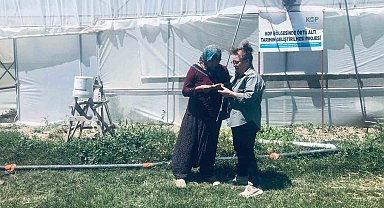 Niğde'de KOP destekli seralarda üretim başladı