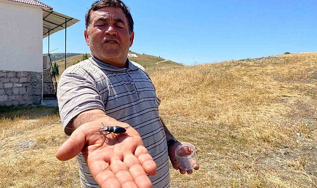 Öldürmenin cezası 557 bin TL, Sivas'ta görüldü