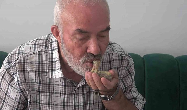 Ölmek üzereyken bulduğu kuşu ağzıyla besliyor
