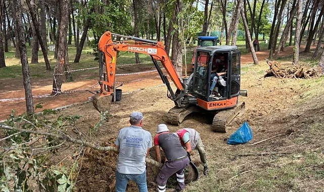 Ordu Ünye Çamlık'ta doğa yenileniyor