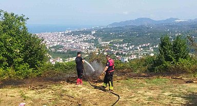 Ordu'da bahçe yangını hızlı müdahaleyle söndürüldü