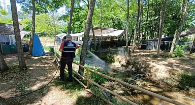 Ordu'da vektörel mücadele sürüyor