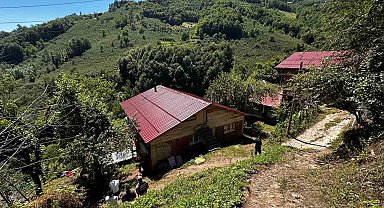 Ordu'ya şehit ateşi düştü