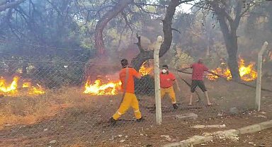 Orman yangınına ekiplerin alevlerle cansiparane mücadelesi