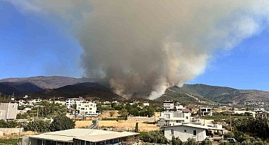 Orman yangınına müdahale 22. saatte devam ediyor