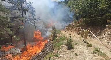 Orman yangınına sebep olan 9 kişi gözaltına alındı, bir kişi tutuklandı
