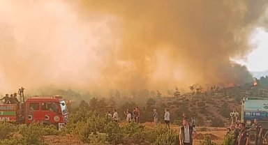 Orman yangınlarında 168 şüpheliden 39'u tutuklandı