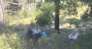 Ormanda piknik yapan 4 şahsa yasal işlem yapıldı