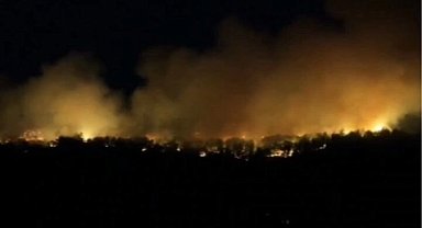 Orman'dan 22 Temmuz raporu: Müdahale edilen 54 yangından 51'i kontrol altında