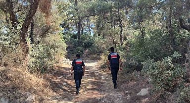 Ormanlar hem karadan hem havadan korunuyor