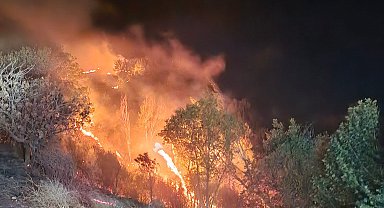 Ormanlık alan ve bahçeler cayır cayır yandı