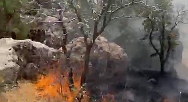 Ormanlık alanda çıkan yangın söndürüldü