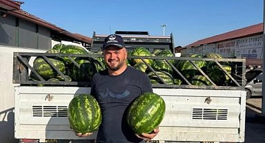 Osmaneli'nin coğrafi işareti alan meşhur karpuzunun ilk hasadı başladı