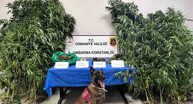 Osmaniye'de 1 haftada 105 şüpheli yakalandı