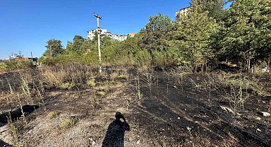 Ot yangınında facianın eşiğinden dönüldü