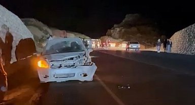 Otomobil domuza çarptı