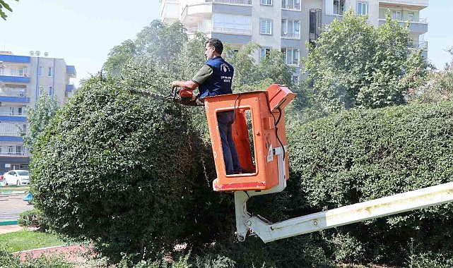 Parklarda yenileme ve güzelleştirme çalışması