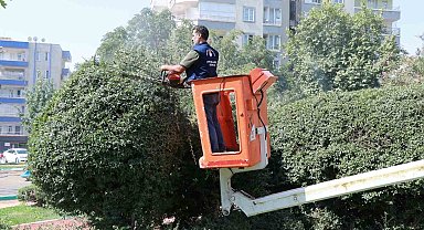 Parklarda yenileme ve güzelleştirme çalışması