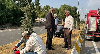 Patnos'ta yeşil alan çalışmaları sürüyor