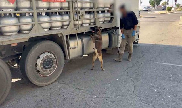Piknik tüpü içinde eroin nakliyatı