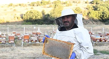 Pursaklar'da bal hasadı başladı