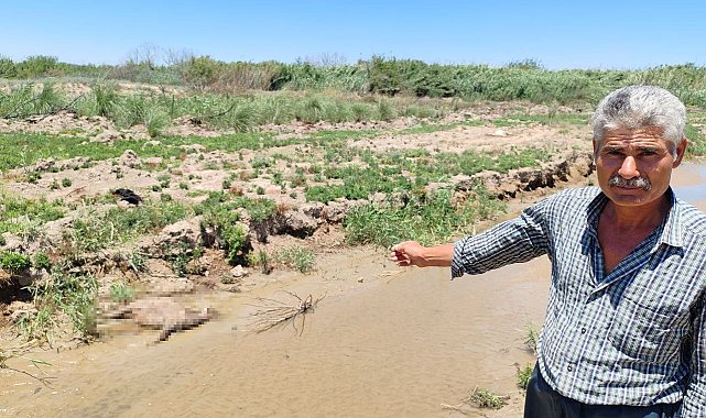 "Dereden su içen 40 küçükbaş hayvanım telef oldu"