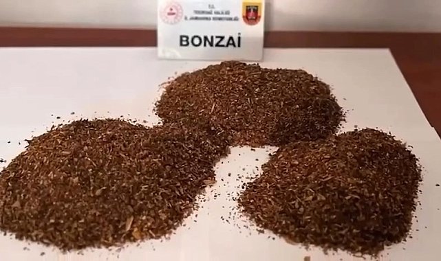 "Narkokapan-Tekirdağ" operasyonlarında 65 şüpheli yakalandı