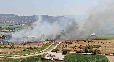 Rüzgarla büyüyen yangın, hayvan çiftliğini tehdit etti