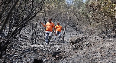 Sakarya Büyükşehir can dostlar için sahaya indi