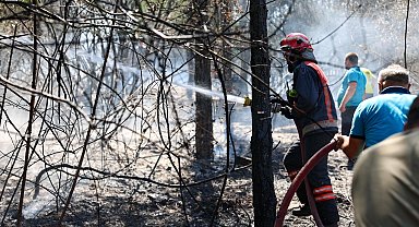 Sakarya İtfaiyesi yangın bölgelerinde tüm gücüyle müdahalede