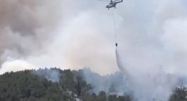 Sakarya ve Eskişehir'deki yangınlarda son durum