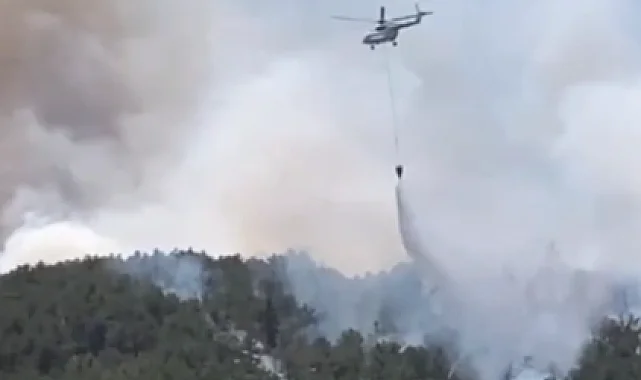 Sakarya ve Eskişehir'deki yangınlarda son durum