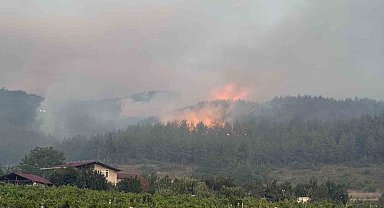 Sakarya'da orman yangınına 8 helikopter, 5 uçak müdahale ediyor