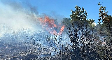 Sakarya'da ormanlık alanda çıkan yangın büyümeden söndürüldü