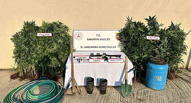 Sakarya'da uyuşturucu operasyonu: 1 tutuklama