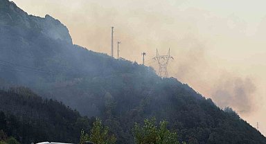 Sakarya'daki orman yangını kısmen kontrol altına alındı