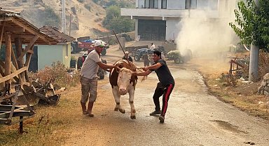 Sakarya'daki orman yangınına müdahale sürüyor: Bir mahalle tahliye ediliyor