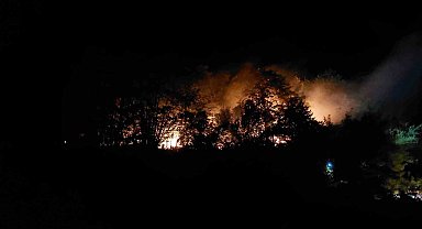 Sakarya'daki yangınla ilgili 1 kişi tutuklandı