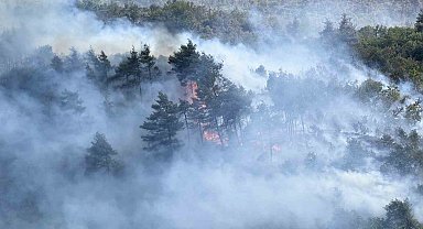 Sakarya'dan, Bilecik'e sıçrayan yangının çıkış sebebi belli oldu